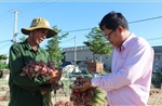 Vốn chính sách giúp dân đảo tiền tiêu Lý Sơn thoát nghèo