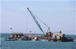 Đà Nẵng ứng phó với biến đổi khí hậu - Bài 2: Phục hồi rừng ngập mặn, chống sạt lở ven biển
