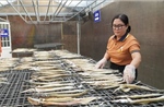 Phụ nữ vùng biên Đồng Tháp khởi nghiệp từ &#39;tài nguyên bản địa&#39;