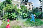 Xử lý kịp thời các ổ dịch, ngăn chặn sốt xuất huyết lây lan 