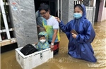 Đà Nẵng ngập sâu nhiều nơi, hàng chục nghìn hộ dân bị ảnh hưởng do mưa lớn