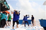 Giá gạo xuất khẩu đi ngang