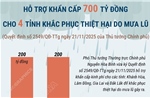 Hỗ trợ khẩn cấp 700 tỷ đồng khắc phục thiệt hại do mưa lũ