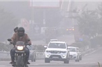 Chính quyền Delhi tăng cường biện pháp ứng phó ô nhiễm