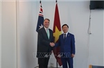Tăng cường hợp tác thực chất giữa Việt Nam - New Zealand, Việt Nam - Australia