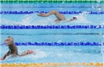 SEA Games 33: Bơi Việt Nam tiếp tục &#39;gặt&#39; huy chương Vàng