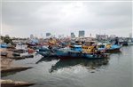  Bước chuyển gỡ 'thẻ vàng' IUU - Bài 1