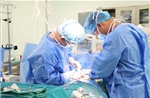 Ghép gan cứu sống người bệnh ngày giáp Tết