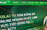 Khởi tố 30 bị can tổ chức đánh bạc và đánh bạc liên quan hệ thống 'Xôi Lạc TV'
