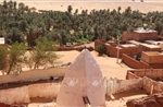 Cuộc sống nơi ốc đảo trên sa mạc Sahara châu Phi