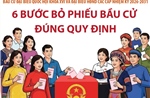 Bầu cử Quốc hội và HĐND: 6 bước bỏ phiếu bầu cử đúng quy định