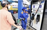Cục Thuế triển khai giảm thuế xăng dầu theo Quyết định của Thủ tướng