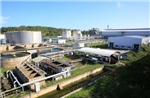 Nhà máy Nhiên liệu sinh học Dung Quất sẽ chạy hết công suất trong tháng 4