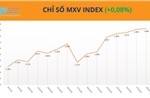 Lực mua tiếp tục áp đảo, chỉ số MXV-Index sát vùng 2.900 điểm