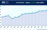 Lực mua áp đảo, MXV-Index bật tăng lên 2.957 điểm