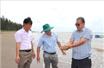 Vĩnh Long khảo sát gỡ khó cho nghề nuôi nghêu