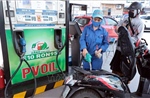 Dự thảo Nghị quyết thúc đẩy lộ trình sử dụng xăng E10