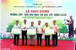Phát triển mảng xanh vì cộng đồng bền vững