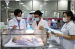 Khoanh vùng xử lý ổ dịch kịp thời, tránh để dịch sốt xuất huyết bùng phát