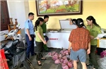 Thanh Hóa: Phát hiện, thu giữ 290 cá thể Cò hương cấp đông chờ tiêu thụ