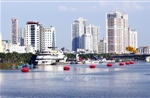 Nhiều hoạt động chào mừng Đại lễ Phật đản 2026