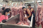 TP Hồ Chí Minh siết chặt kiểm soát giết mổ, đảm bảo an toàn thực phẩm
