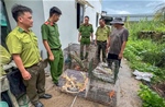 Tây Ninh 'mạnh tay' xử lý vi phạm động vật hoang dã