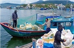 Xã hội hóa thu gom rác, hồi sinh môi trường nuôi biển Vân Phong
