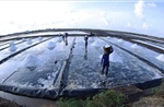Kinh tế tư nhân chuyển biến tích cực về quy mô, chất lượng và niềm tin phát triển