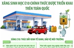 Từ 1/6/2026, xăng sinh học E10 chính thức được triển khai trên toàn quốc