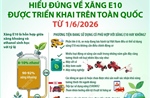 Hiểu đúng về xăng E10 được triển khai trên toàn quốc từ ngày 1/6/2026