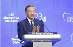 Theo dòng thời sự: Từ hội nhập đến dẫn dắt