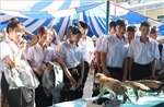Phê duyệt Chương trình Sức khỏe học đường giai đoạn 2026-2035