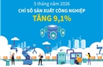 5 tháng năm 2026: Chỉ số sản xuất công nghiệp tăng 9,1%