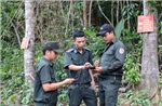 Khoảng trống trong quản lý rừng phòng hộ - Bài 1