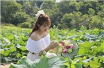 Sắc sen mùa Hạ mở hướng phát triển du lịch ở Việt Hồng