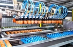 Gỡ điểm nghẽn để nông nghiệp công nghệ cao cất cánh