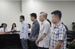 Cựu Chủ tịch Công ty Nam Triệu bị phạt 29 năm tù