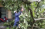 Quảng Ninh khắc phục hậu quả bão số 1, thiệt hại ước khoảng 20 tỷ đồng 