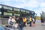 Nghệ An yêu cầu doanh nghiệp khẩn trương giảm giá cước vận tải hành khách