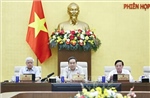 UBTV Quốc hội cho ý kiến về luật sửa đổi 10 luật có liên quan lĩnh vực nông nghiệp và môi trường
