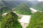 7 người thương vong trong vụ tai nạn tại trang trại lợn ở Thanh Hóa