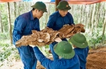 Hành trình tri ân chạm đến trái tim- Bài 1: Cuộc hành quân chưa kết thúc 
