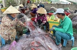 Cà Mau: Nhộn nhịp mùa khai thác cá khoai 