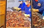 Cà Mau: Đặt kỳ vọng vào chuyển đổi số để thúc đẩy tăng trưởng