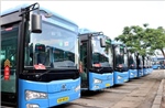 Xây dựng mạng lưới xe buýt kết nối sân bay Long Thành và Tân Sơn Nhất