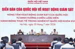 Giám sát để thúc đẩy thực thi và kiến tạo phát triển