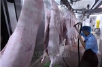 Quảng Ninh chấm dứt cơ sở giết mổ động vật không đủ điều kiện trước 31/10