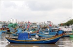 Lâm Đồng khẩn cấp kích hoạt phương án ứng phó áp thấp nhiệt đới