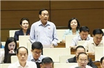Đại biểu Quốc hội đề xuất đưa kinh doanh kim cương, đá quý vào ngành nghề có điều kiện